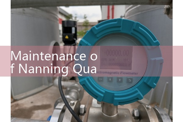 Maintenance of Nanning Quality Flow Meter